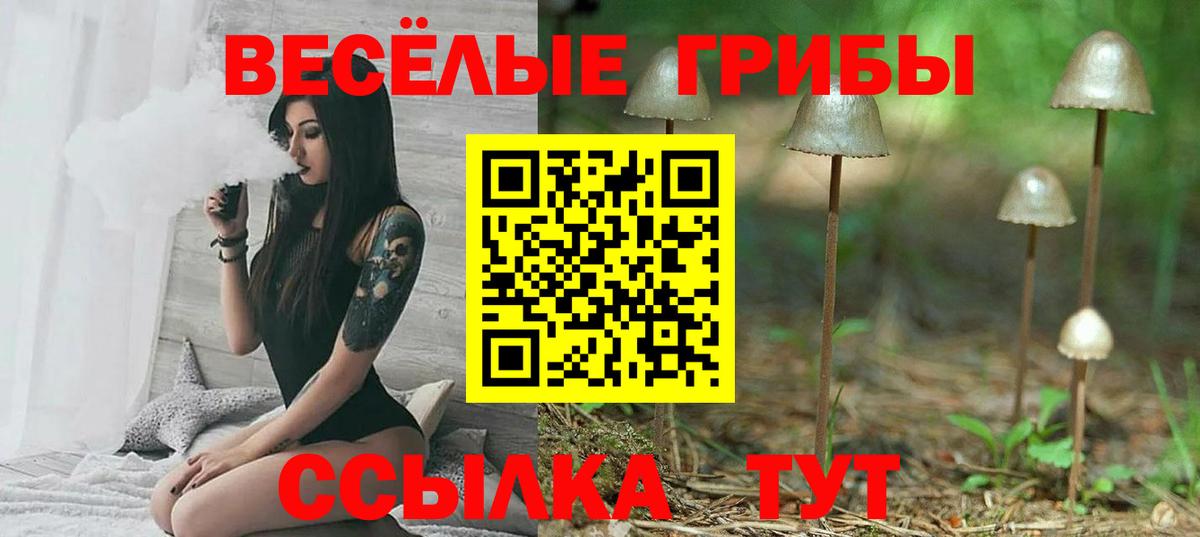 Псилоцибиновые грибы GOLDEN TEACHER  Вход с VPN  Кизляр 